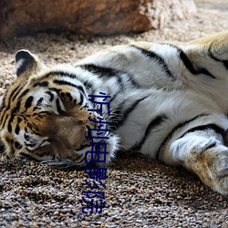 忻州电影院