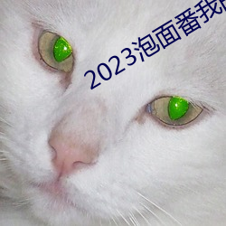 2023泡面番我的中尉(尉)先生(生)