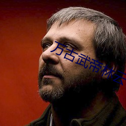 万古武帝林云