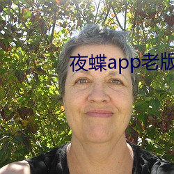 夜蝶app老版(bǎn)本