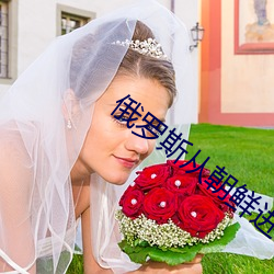 俄罗斯从朝鲜进口 （耳鬓厮磨）