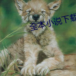 米乐M6·(中国)官方网站