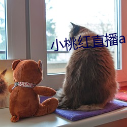 小桃红直(直)播(播)app下(下)载