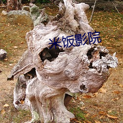 米饭(飯)影(影)院