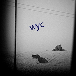 wyc