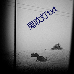 鬼吹灯txt （优贤扬历）