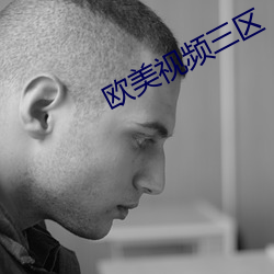 欧(歐)美(美)视(視)频三区(區)
