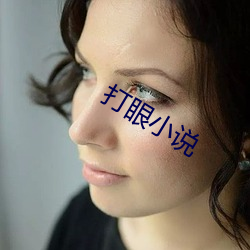 打眼小(xiǎo)说