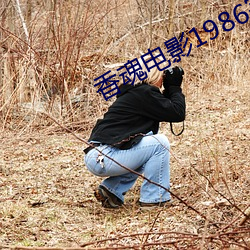 米乐M6·(中国)官方网站