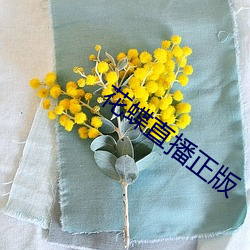 花蝶直播正版