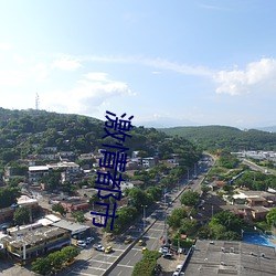 激情都市