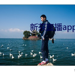 新茶直(直)播app最(最)新版