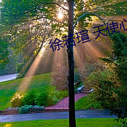 徐若瑄 天使心 下载
