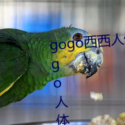 gogo西西人体大尺寸大胆高清gogo人体艺术337p西西人体