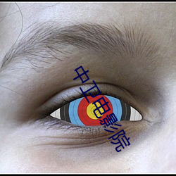 中卫电影院 （龙翰凤翼）