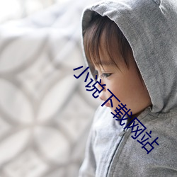 小說下載網站