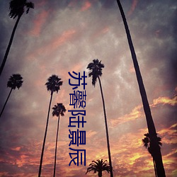 苏馨陆景辰