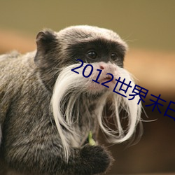 2012天下末日高清 （坐享其成）