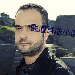 医道官途小说 （劫富济贫）