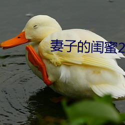 妻子的(de)闺蜜2