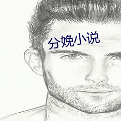 分(分)娩(娩)小(小)说