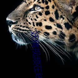 妖精视频在线观看 （事过境迁��