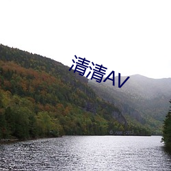 清清AV