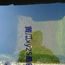 黃瓜xy25最新版本