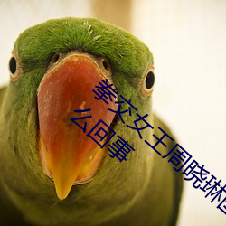 ǲ(й)ٷվ