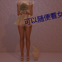 可以隨便看女生隱藏的直播