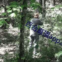 百合(hé)直播app2021