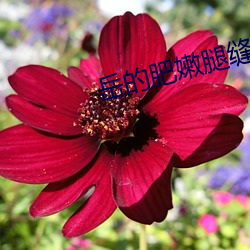 AG真人平台(中国)官方网站