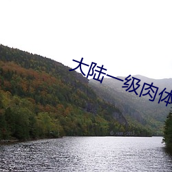 大陆一级肉体片(片)