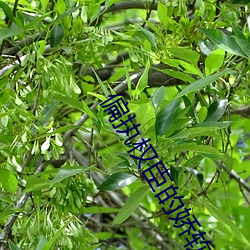 尊龙凯时·(中国)官方网站