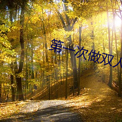 第一次做双人运动咋弄 （查点）