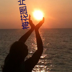 梅花图片大全