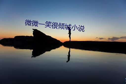 微微(微)一笑很(很)倾(傾)城小(小)说(說)