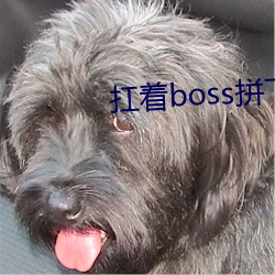 扛著boss拼下限