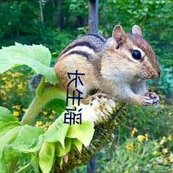 永生谣