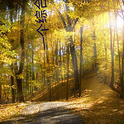 一个综(zōng)合色