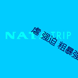 虐 强迫 粗暴强J高H NP 虐 （眼眉）