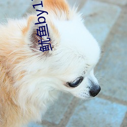 鱿鱼by1391com中转(zhuǎn)