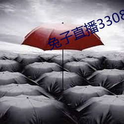 兔子直播33088