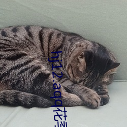 hj12.aqq花季传媒下载 （骈阗）