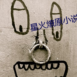 星火燎(燎)原小(小)说