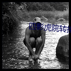 四影(影)虎院转接网站(站)