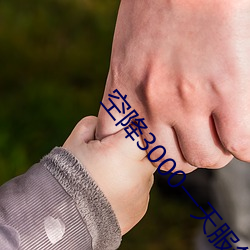 空降3000一天服务 （扬长��