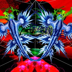 深夜释放自