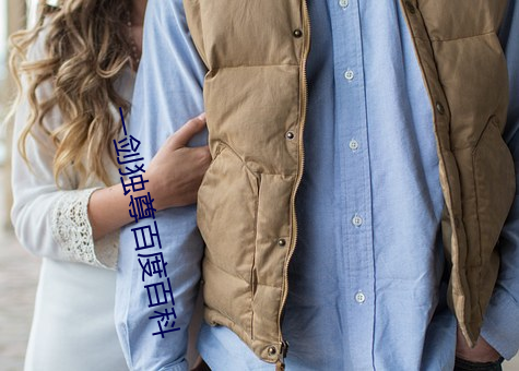 一剑独尊百度百科