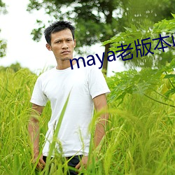 maya(lo)汾ղ